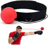 Boxing Training Ball