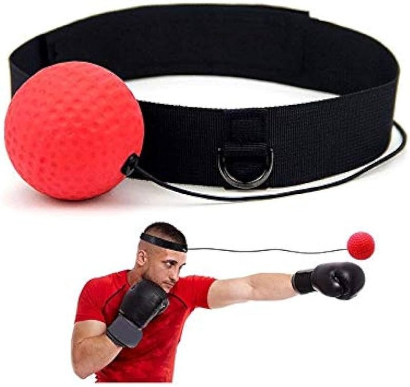 Boxing Training Ball