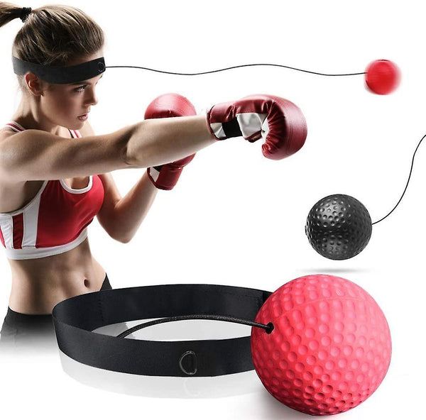 Boxing Training Ball