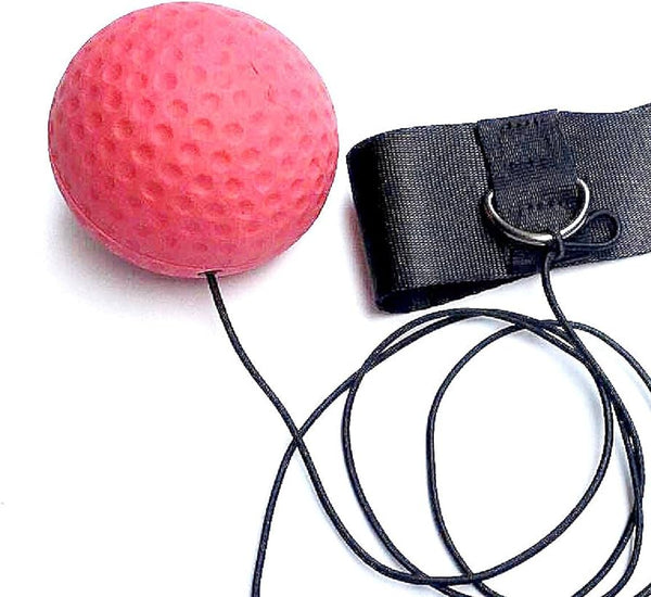 Boxing Training Ball