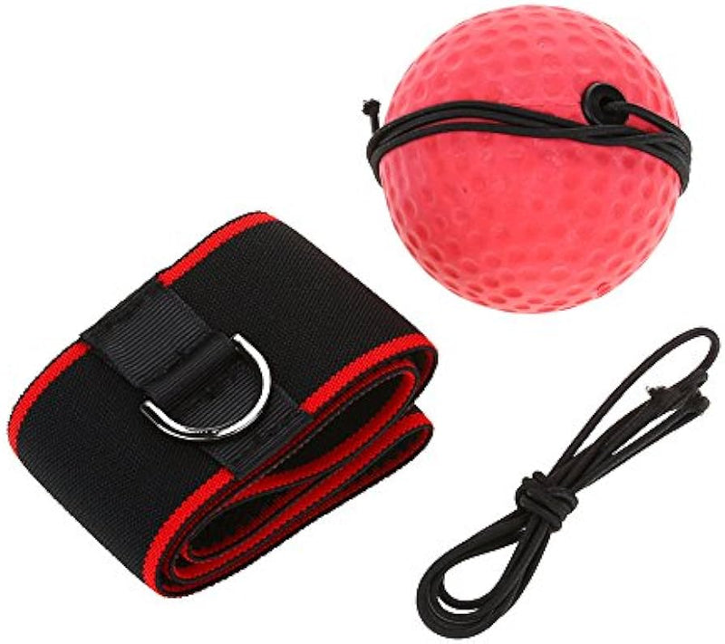 Boxing Training Ball